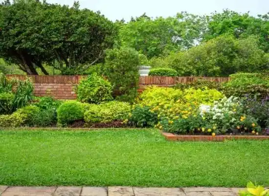 landscaping services Potomac